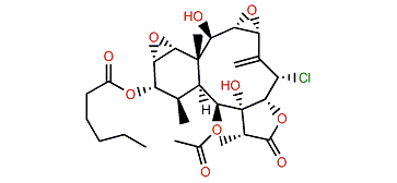 Briaviolide F